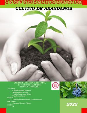 Cultivo de Arandano
