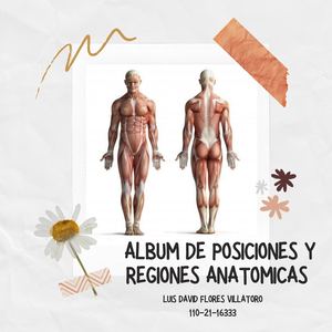 Álbum Anatomia Umg