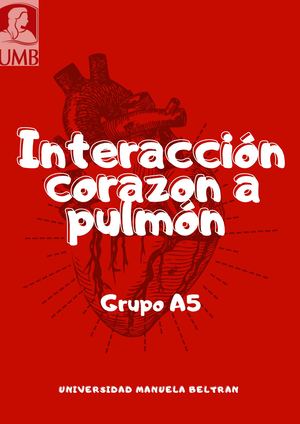 Interacción corazón pulmón