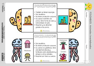 Animales Invertebrados Material Plegable Recursosep