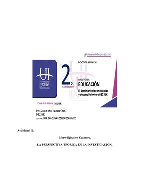 LA PERSPECTIVA TEORICA EN LA INVESTIGACION.