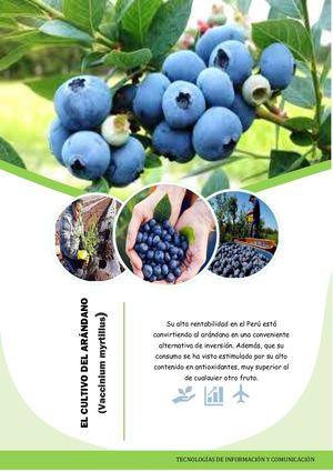 Producto De Tecnologias E Informacion Y Comunicacion