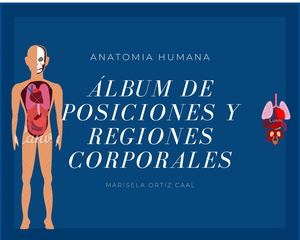 ÁLbum Posiciones Y Regiones Corporales