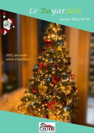Bulletin Janvier 2021