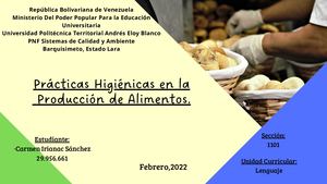 Prácticas Higiénicas En El Proceso De Producción De Alimentos