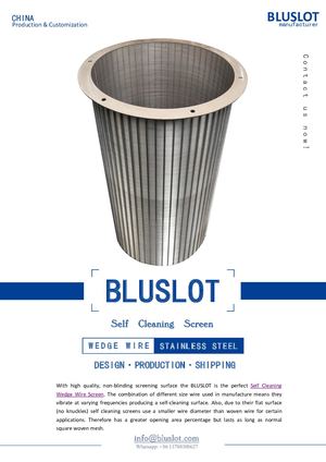 Ballast Water Filtration Self Cleaning Wedge Wire Filter Screen - Bluslot Filter