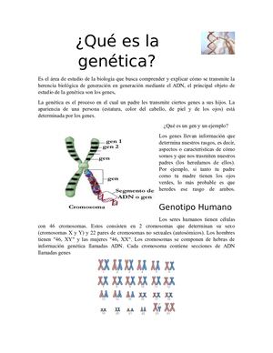 Gia Genética