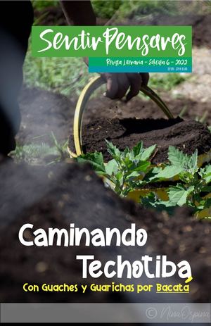 SentirPensares Edición 6_Caminando Techotiba con Guaches y Guarichas por Bacatá