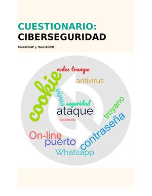 Cuestionario Ciberseguridad (1)