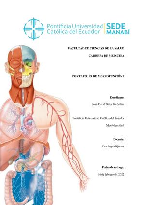 Portafolio Morfofunción