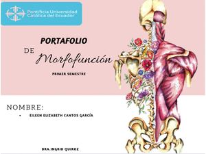 Portafolio De Morfofunción Eileen Cantos