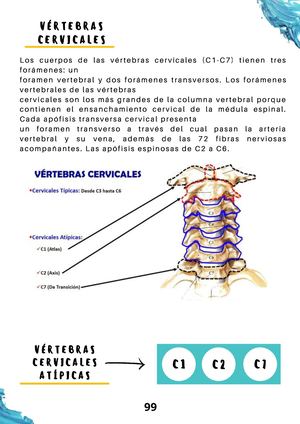 Portafolio Parte 2 Ma José Arteaga