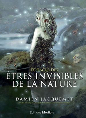 L'Oracle des Êtres invisibles, Damien JACQUEMET (EXTRAIT)