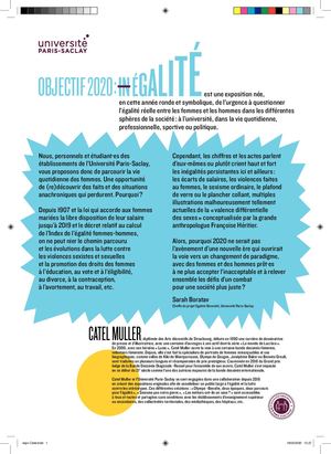 Objectifs 2020 inEGALITE