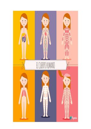 El Cuerpo Humano Y El Cuidado