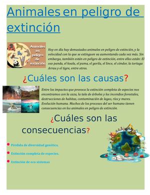 Animales En Peligro De Extinción