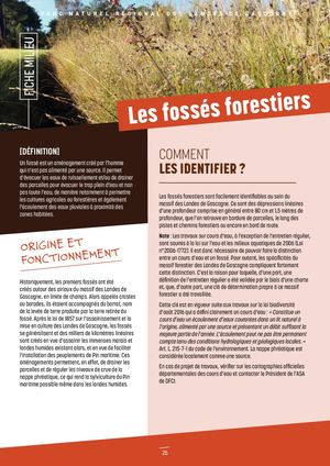Les fossés forestiers