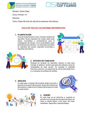 Ciclo De Vida