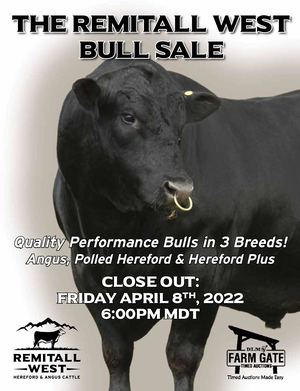 Remitall West Bull Sale 2022