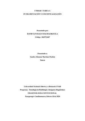 Unidad 1 Tarea 1 Conceptualizacion