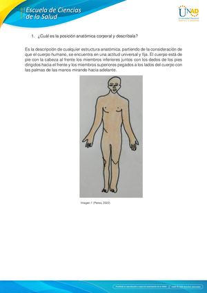 Carolina Perea Anatomia Radiologica