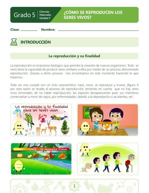 Reproducción