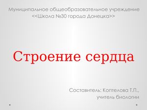 Коптелова Т П Строение сердца