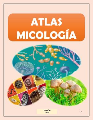Atlas Micologia
