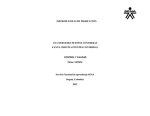 Líneas De Producción