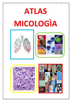 Atlas Micologia