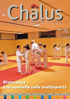 Chalus Bull30 Pour Site