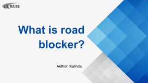 What Is Road Blocker