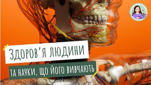 Здоров'я людини. Науки, що вивчають здоров'я людини