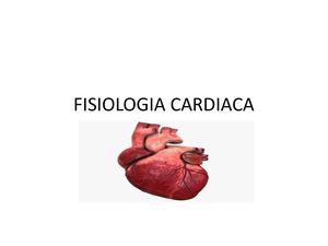 Fisiologia Cardiaca