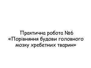 Практична робота "Порівняння будови головного мозку хребетних тварин"