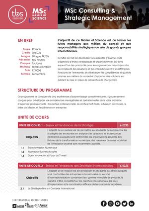 MSc Consulting & Strategic Management - Program Outline