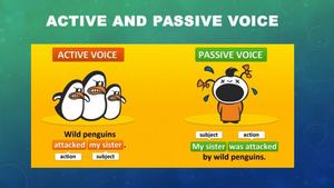 Active And Passive Voice