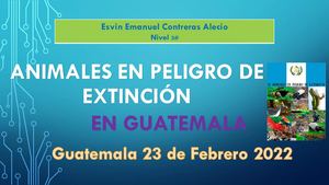 Animales En Peligro De Extinción Libro De Emanuel Nivel 3