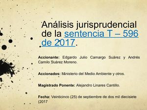 Diapositivas Sentencia T - 597 De 2017