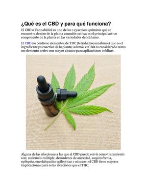 Qué Es El CBD Y Para Qué Funciona
