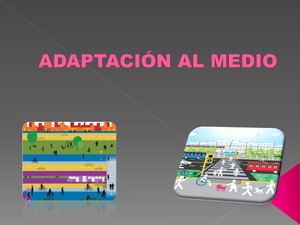 Adaptación Al Medio