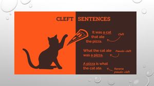 Cleft Sentences