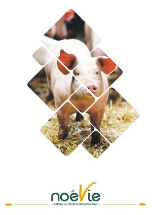 Catalogue Porcs 2022