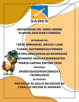 Pelea De Gallos Investigacion