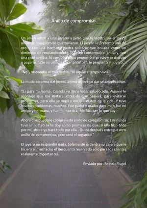 Anillo De Compromiso