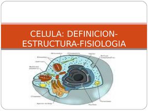 Material de trabajo de C y T