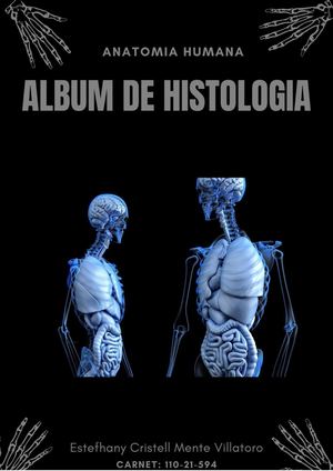 Album Histologia Anatomia Humana