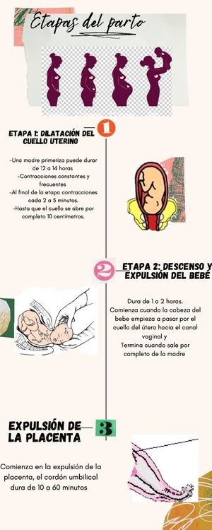 Beige Collage ÁLbum De Recortes Infografía Cronológica