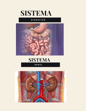 Sistema Digestivo y Sistema Renal