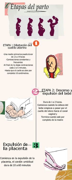 Trifoliar Elser Guzman Comprimido